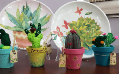 7 increíbles cactus para regalar ¡en cualquier ocasión!